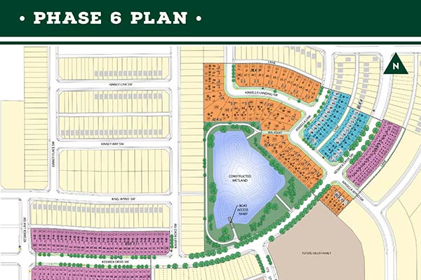 Phase 6 Plan